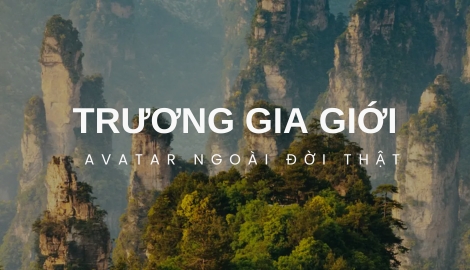 Du Lịch Trương Gia Giới